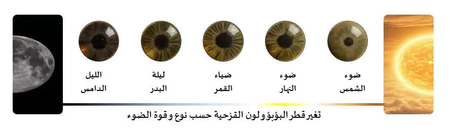 تغيير قطر البؤبؤ ولون القزحية