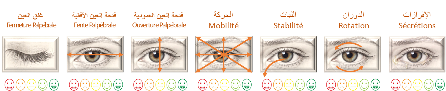 مظاهر التقييم الأولي للنتائج المنتظرة