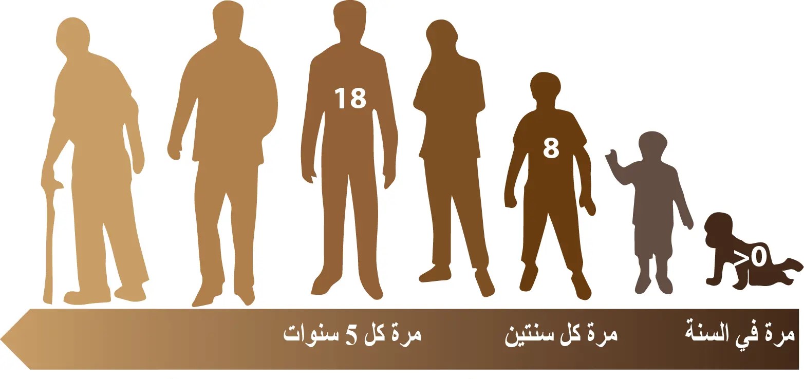 مدة تجديد الرمامة حسب العمر
